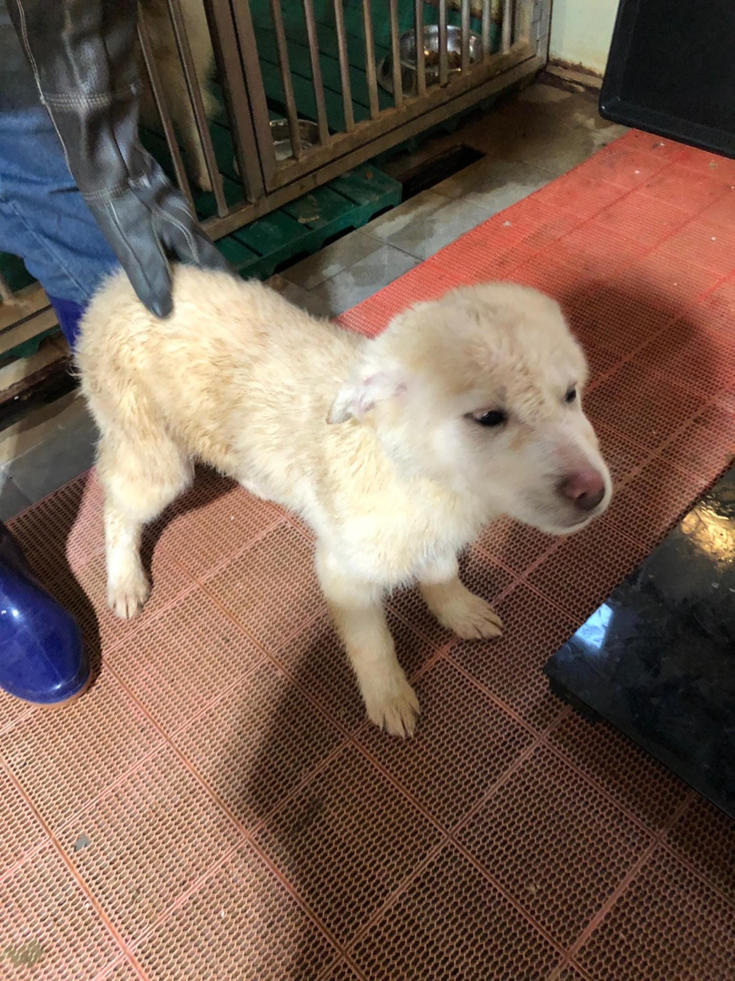디디동물병원_428357202500204